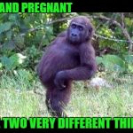 Pregnant Ape | FAT AND PREGNANT; ARE TWO VERY DIFFERENT THINGS | image tagged in pregnant ape | made w/ Imgflip meme maker