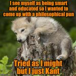 Confession Pup | I see myself as being smart and educated so I wanted to come up with a philosophical pun; Tried as I might but I just Kant | image tagged in confession pup,memes,immanuel kant,philosophy,puns,funny | made w/ Imgflip meme maker