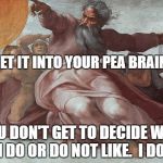 Sistine Chapel God | GET IT INTO YOUR PEA BRAINS; YOU DON'T GET TO DECIDE WHO I DO OR DO NOT LIKE.  I DO. | image tagged in sistine chapel god | made w/ Imgflip meme maker