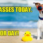 Vacation Dog | NO LIVE CLASSES TODAY. HAPPY LABOR DAY! | image tagged in vacation dog | made w/ Imgflip meme maker