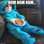 Cat in PJS | NOM NOM NOM... | image tagged in cat in pjs | made w/ Imgflip meme maker