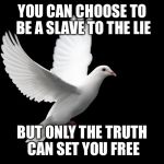 DOVE PIGEON LOVE PEACE HAPPINESS | YOU CAN CHOOSE TO BE A SLAVE TO THE LIE BUT ONLY THE TRUTH CAN SET YOU FREE | image tagged in dove pigeon love peace happiness | made w/ Imgflip meme maker
