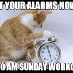 Cat Setting Alarm Clock | SET YOUR ALARMS NOW! 8:00 AM SUNDAY WORKOUT | image tagged in cat setting alarm clock | made w/ Imgflip meme maker