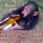 Monkey on booze | IF EVOLUTION WERE REAL, YOU'D THINK MY BODY WOULD'VE LEARNED HOW TO BE DRUNK ON ITS OWN BY NOW. | image tagged in evolution,church,memes,funny,funny memes,hysterical | made w/ Imgflip meme maker