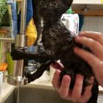 Now that's a soaking wet pussy