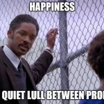pursuit-of-happiness | HAPPINESS; IS THE QUIET LULL BETWEEN PROBLEMS | image tagged in pursuit-of-happiness | made w/ Imgflip meme maker