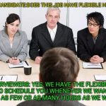 interview | JOB CANDIDATE:DOES THIS JOB HAVE FLEXIBLE HOURS; INTERVIEWERS: YES, WE HAVE THE FLEXIBILITY TO SCHEDULE YOU WHENEVER WE WANT, FOR AS FEW OR AS MANY HOURS AS WE WANT | image tagged in interview | made w/ Imgflip meme maker