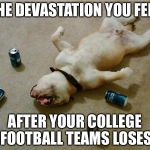 drunk dog | THE DEVASTATION YOU FEEL AFTER YOUR COLLEGE FOOTBALL TEAMS LOSES | image tagged in drunk dog | made w/ Imgflip meme maker