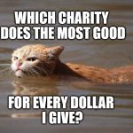 Angry flood cat | WHICH CHARITY DOES THE MOST GOOD; FOR EVERY DOLLAR I GIVE? | image tagged in angry flood cat | made w/ Imgflip meme maker