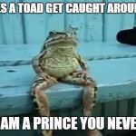 toad | HOW DOES A TOAD GET CAUGHT AROUND HERE? MAYBE I AM A PRINCE YOU NEVER KNOW | image tagged in toad | made w/ Imgflip meme maker