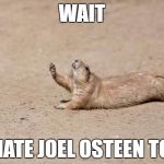 wait for me squirrel | WAIT; I HATE JOEL OSTEEN TOO | image tagged in wait for me squirrel | made w/ Imgflip meme maker