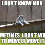 Julian ruined it for all of them... | I DON'T KNOW MAN, SOMETIMES, I DON'T WANT TO MOVE IT, MOVE IT. | image tagged in lemur,madagascar,depressed lemur | made w/ Imgflip meme maker