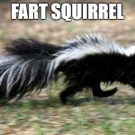 skunk | FART SQUIRREL | image tagged in skunk | made w/ Imgflip meme maker