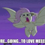 Flutterbat | YOURE...GOING...TO LOVE MEEEEE! | image tagged in flutterbat | made w/ Imgflip meme maker