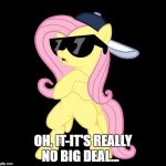 Fluttershy behind closed doors | OH, IT-IT'S REALLY NO BIG DEAL... | image tagged in fluttershy behind closed doors | made w/ Imgflip meme maker