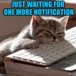   | JUST WAITING FOR ONE MORE NOTIFICATION | image tagged in mosho sleeping,memes,memeing,meme addict,addiction,imgflip users | made w/ Imgflip meme maker