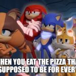 At least none of it went to waste! | WHEN YOU EAT THE PIZZA THAT WAS SUPPOSED TO BE FOR EVERYBODY | image tagged in team sonic is not impressed - sonic boom,pizza,obesity,friends | made w/ Imgflip meme maker