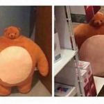 Fat Teddy Bear