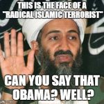 09/11 | THIS IS THE FACE OF A "RADICAL ISLAMIC TERRORIST"; CAN YOU SAY THAT OBAMA? WELL? | image tagged in 09/11 | made w/ Imgflip meme maker