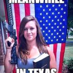 I really am sorry, but I just couldn't resist. | MEANWHILE; IN TEXAS | image tagged in murica,meanwhile in,texas,i'm sorry,american flag,america | made w/ Imgflip meme maker