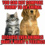 Mother's Day  pets animals cats dogs adoption | YOU CAN NOT COMPARE TRUMP TO AN ANIMAL; BECAUSE EVEN ANIMALS HAVE A HEART & FEELINGS | image tagged in mother's day  pets animals cats dogs adoption | made w/ Imgflip meme maker