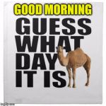 Camel guess | GOOD MORNING | image tagged in camel guess | made w/ Imgflip meme maker