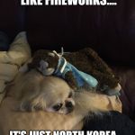 Can't we all just get along  | I REALLY DON'T LIKE FIREWORKS.... IT'S JUST NORTH KOREA.... EVERYTHING'S GONNA BE OK | image tagged in can't we all just get along | made w/ Imgflip meme maker