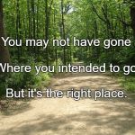 path | You may not have gone; Where you intended to go, But it's the right place. | image tagged in path | made w/ Imgflip meme maker