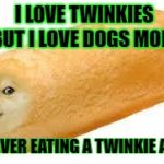 twinkie doge | I LOVE TWINKIES BUT I LOVE DOGS MORE; IM NEVER EATING A TWINKIE AGAIN | image tagged in twinkie doge | made w/ Imgflip meme maker