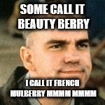 SlingBlade | SOME CALL IT BEAUTY BERRY; I CALL IT FRENCH MULBERRY MMMM MMMM | image tagged in slingblade | made w/ Imgflip meme maker