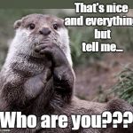 Questioning Otter | That's nice and everything, but tell me... Who are you??? | image tagged in questioning otter | made w/ Imgflip meme maker