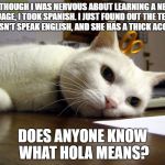 Annoyed tired bored cat  | ALTHOUGH I WAS NERVOUS ABOUT LEARNING A NEW LANGUAGE, I TOOK SPANISH. I JUST FOUND OUT THE TEACHER DOESN'T SPEAK ENGLISH, AND SHE HAS A THICK ACCENT. DOES ANYONE KNOW WHAT HOLA MEANS? | image tagged in annoyed tired bored cat | made w/ Imgflip meme maker