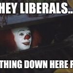 Stephen King IT | HEY LIBERALS... EVERYTHING DOWN HERE FLOATS | image tagged in stephen king it | made w/ Imgflip meme maker