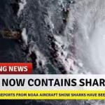 Irma meme