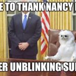 Guardian Cat In Oval Office | I'D LIKE TO THANK NANCY PELOSI; FOR HER UNBLINKING SUPPORT | image tagged in guardian cat in oval office,memes | made w/ Imgflip meme maker