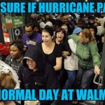 Florida shoppers stocking up on Hurricane supplies | NOT SURE IF HURRICANE PANIC; OR NORMAL DAY AT WALMART | image tagged in black friday mob,walmart,hurricane harvey,hurricane irma,memes | made w/ Imgflip meme maker