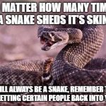 Rattlesnake | NO MATTER HOW MANY TIMES A SNAKE SHEDS IT'S SKIN, IT WILL ALWAYS BE A SNAKE, REMEMBER THAT BEFORE LETTING CERTAIN PEOPLE BACK INTO YOUR LIFE | image tagged in rattlesnake | made w/ Imgflip meme maker