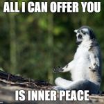 suricate_yoga | ALL I CAN OFFER YOU; IS INNER PEACE | image tagged in suricate_yoga | made w/ Imgflip meme maker