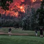 This Is Fine Golfing