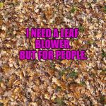 Leaves | I NEED A LEAF BLOWER, BUT FOR PEOPLE. | image tagged in funny,funny memes,memes,annoying people | made w/ Imgflip meme maker