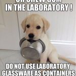 Food | DO NOT EAT , DRINK OR CHEW GUM IN THE LABORATORY ! DO NOT USE LABORATORY GLASSWARE AS CONTAINERS FOR FOOD OR BEVERAGES ! | image tagged in food | made w/ Imgflip meme maker