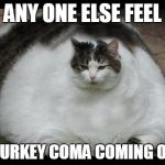 Fat Cat | ANY ONE ELSE FEEL; A TURKEY COMA COMING ON? | image tagged in fat cat | made w/ Imgflip meme maker