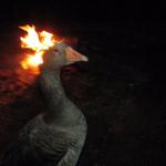 Goose on fireeee