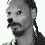 Snoopdoge | SMOKE WOW; EVERYDAY! | image tagged in snoopdoge | made w/ Imgflip meme maker