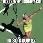 No wonder! | THIS IS WHY GRUMPY CAT; IS SO GRUMPY | image tagged in grumpy cat tennis,grumpy cat,tennis,animal attack | made w/ Imgflip meme maker