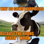 Bad Pun Cow | WHY DO COWS WEAR BELLS; BECAUSE THE HORNS DOESN'T WORK | image tagged in bad pun cow,memes,funny,puns,cows,animals | made w/ Imgflip meme maker