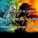 Peace of mind | If your mind is calm, You can find the solution. Keep your inner peace. | image tagged in peace of mind | made w/ Imgflip meme maker