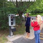 Rare sighting phone | IT'S LIKE TAKING A PIC OF BIGFOOT | image tagged in rare sighting phone | made w/ Imgflip meme maker
