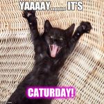Happy cat  | YAAAAY........ IT'S; CATURDAY! | image tagged in happy cat | made w/ Imgflip meme maker
