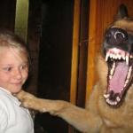 dog laughs  girl